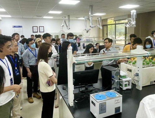 40余家機構調研恒輝安防，國內外雙循環布局與新材料投產助推業績增長